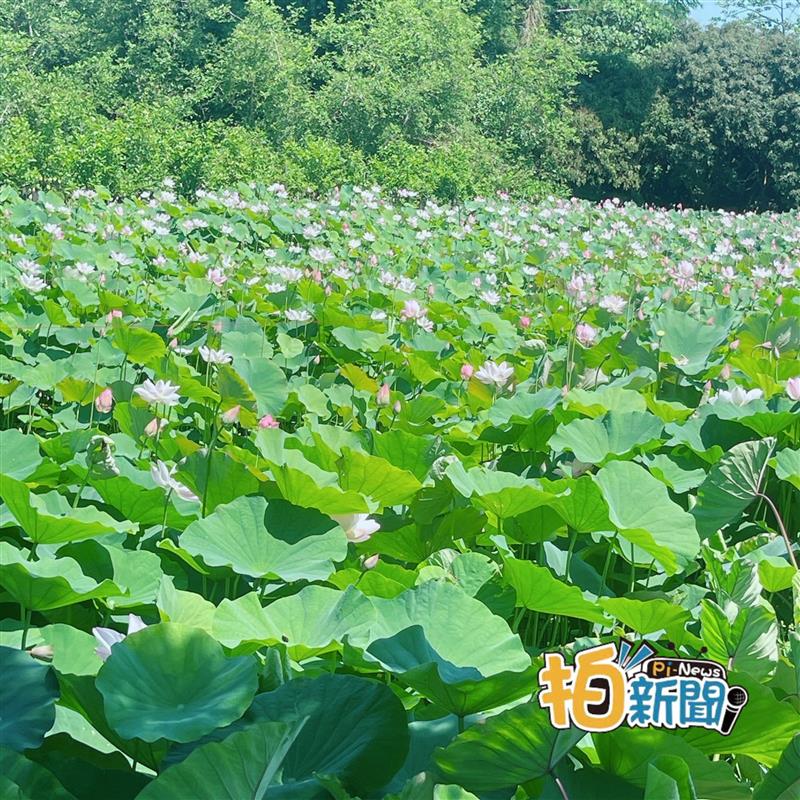 相關圖片