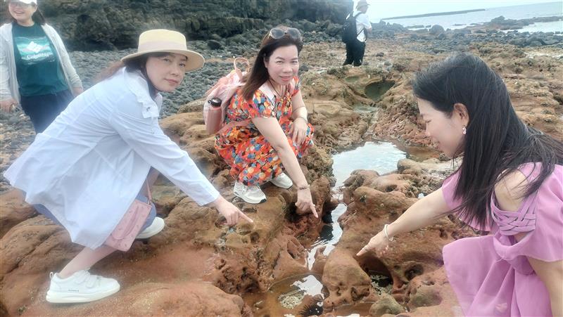 相關圖片