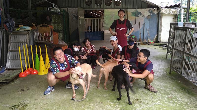 愛心、耐心及恆心 新北動保處翻轉狼犬「旺來」扭曲的個性
