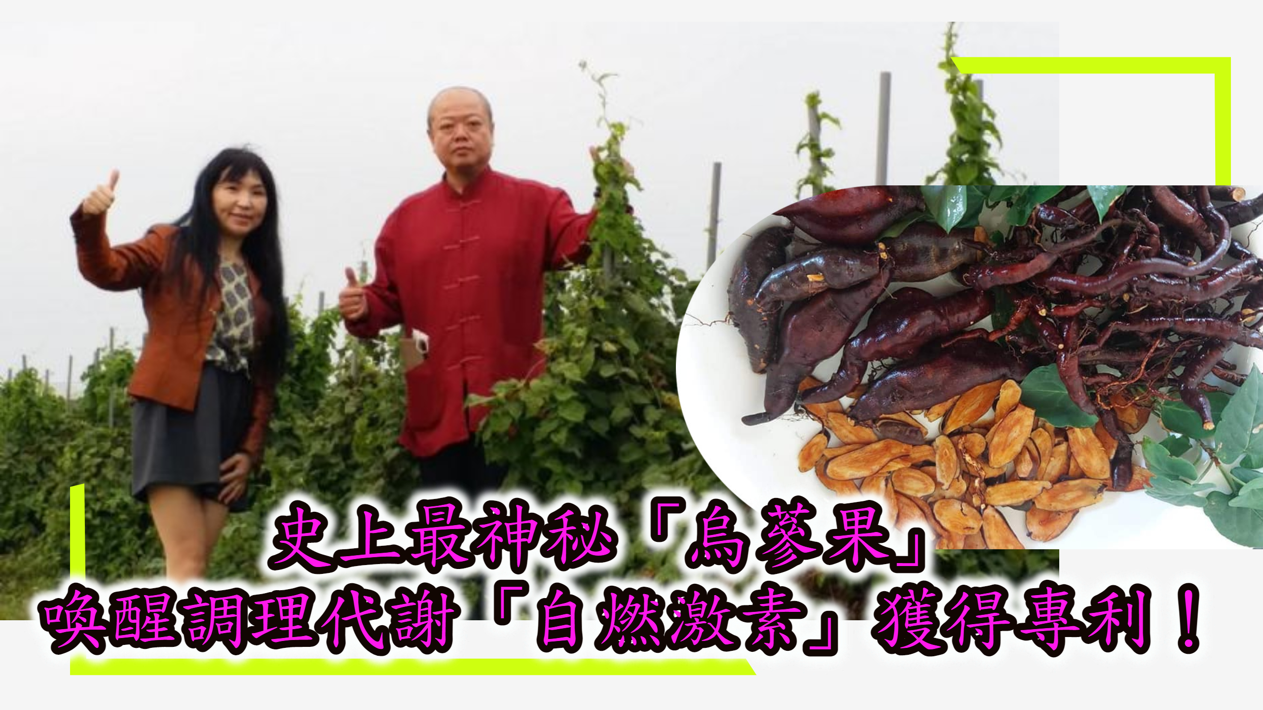 史上最神秘「烏蔘果」- 喚醒調理代謝「自燃激素」獲得專利！