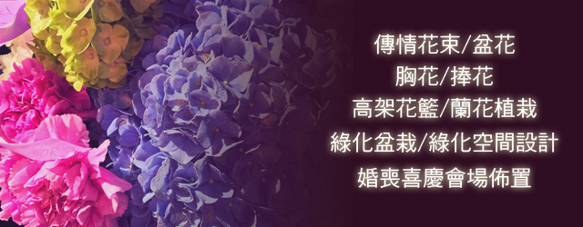 相關圖片