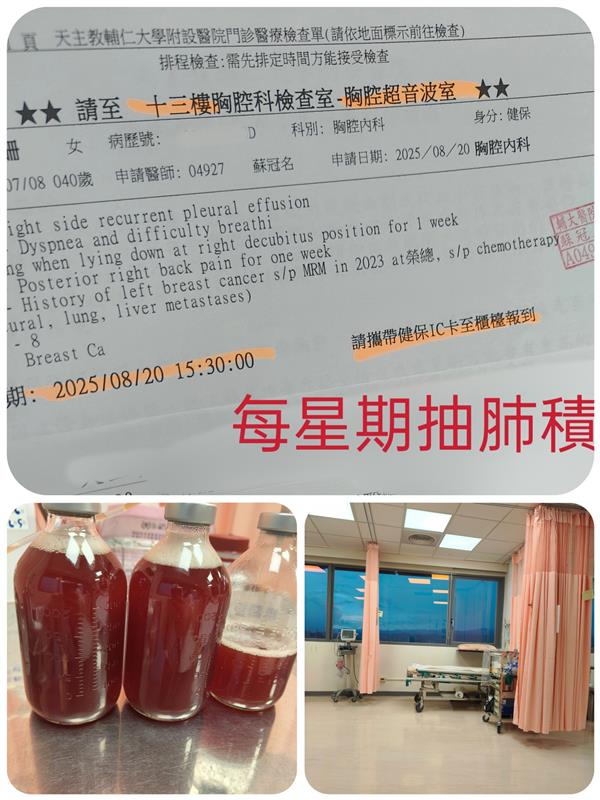 相關圖片