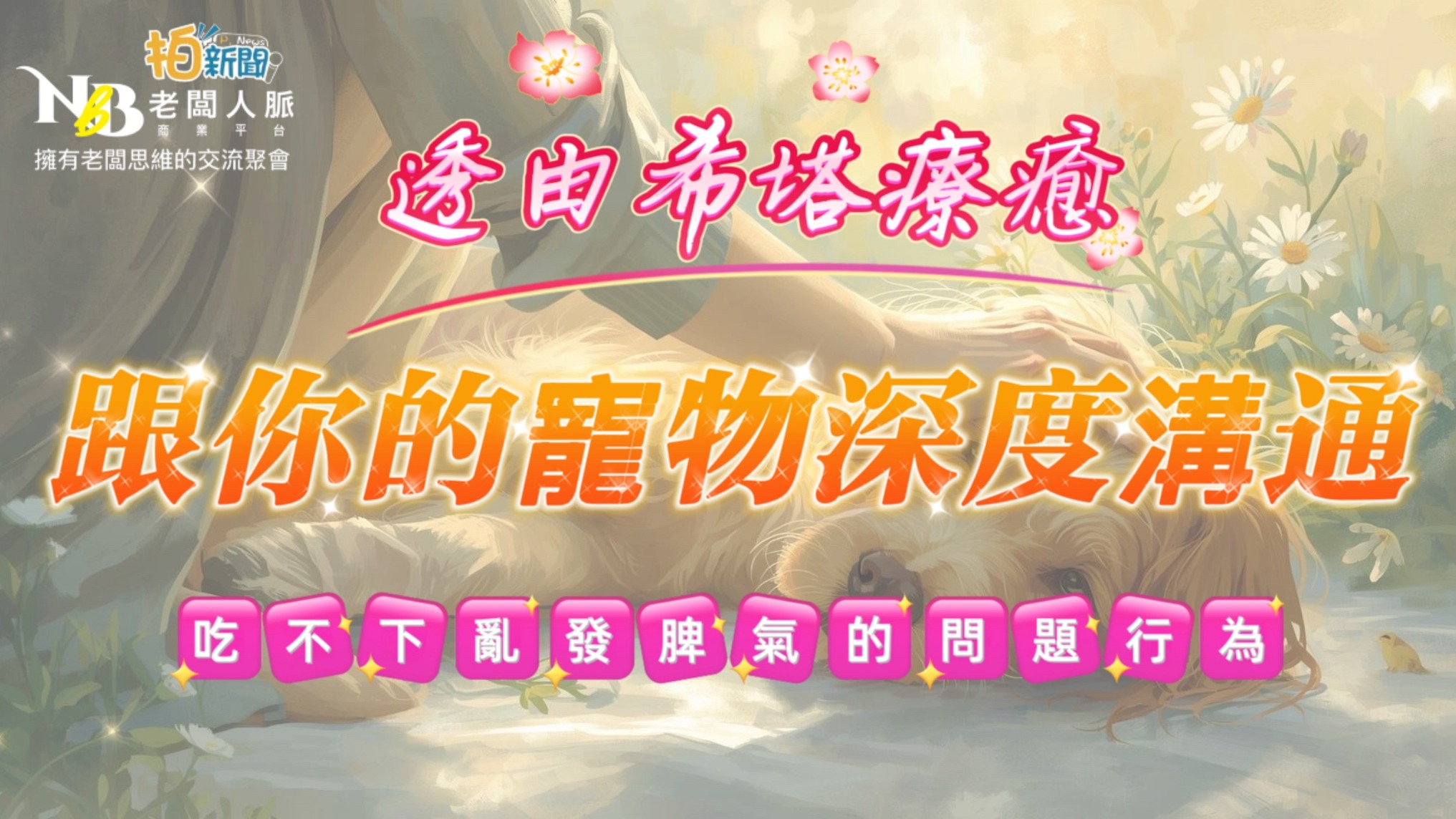 直擊現在最夯「透由希塔療癒來跟寵物做深度溝通」🐾 