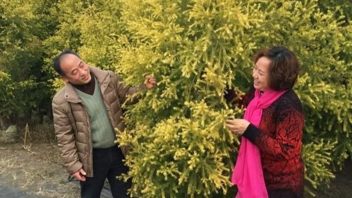 周金川婚姻不是賭運氣，把人生經營好的夥伴。