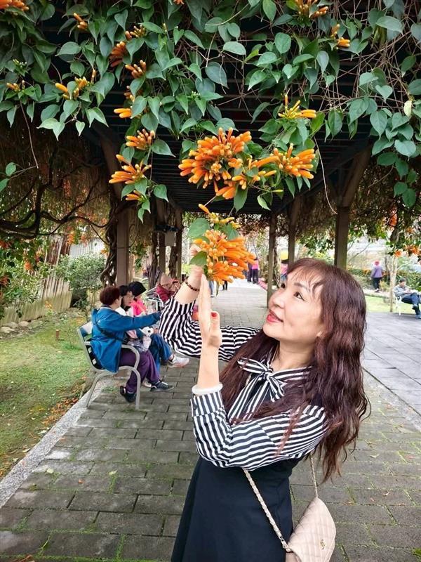相關圖片