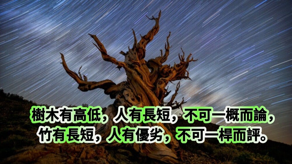 樹木有高低，人有長短，不可一概而論;竹有長短，人有優劣，不可一桿而評。