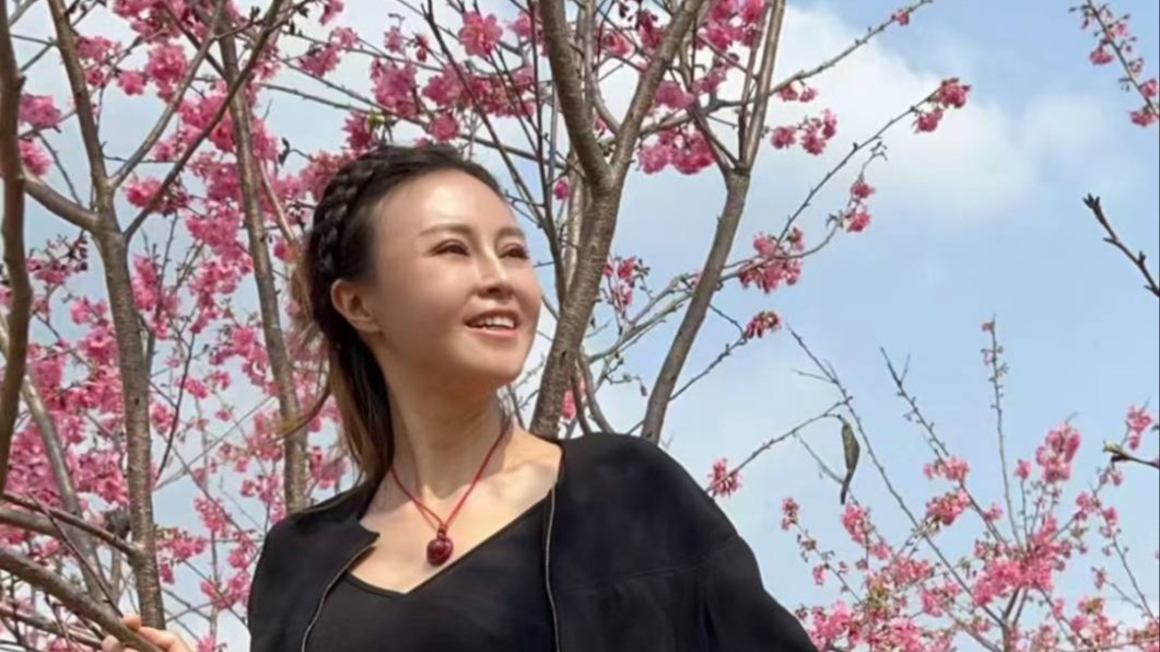 張蓉兒黃花風鈴木季金黃色花海爆發期，花期短暫僅約3-4週（金色花廊），欣賞滿樹金黃、沒有綠葉的壯觀金色隧道。