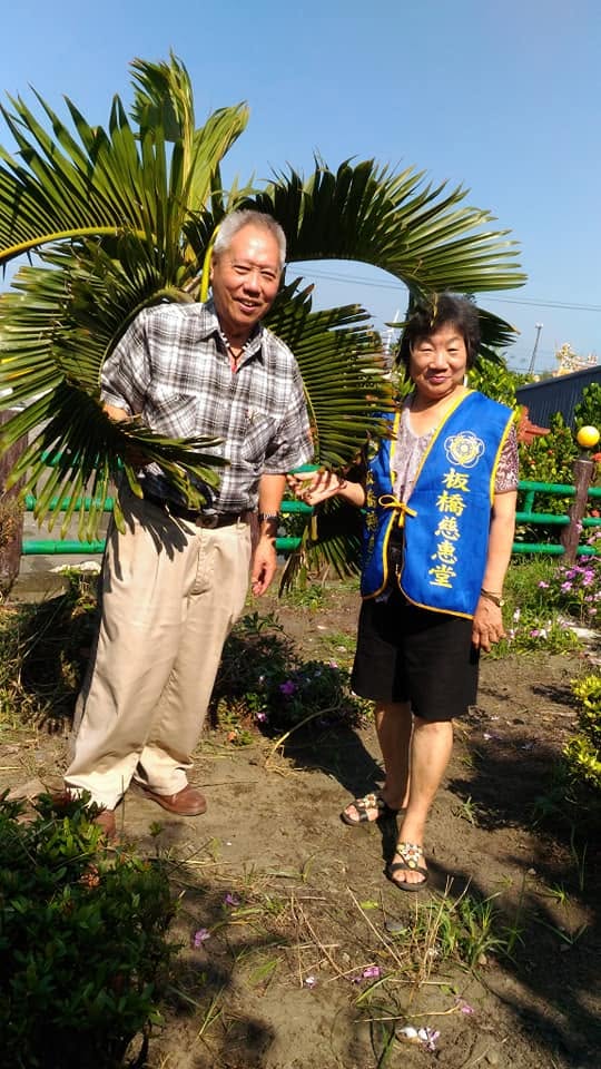 相關圖片