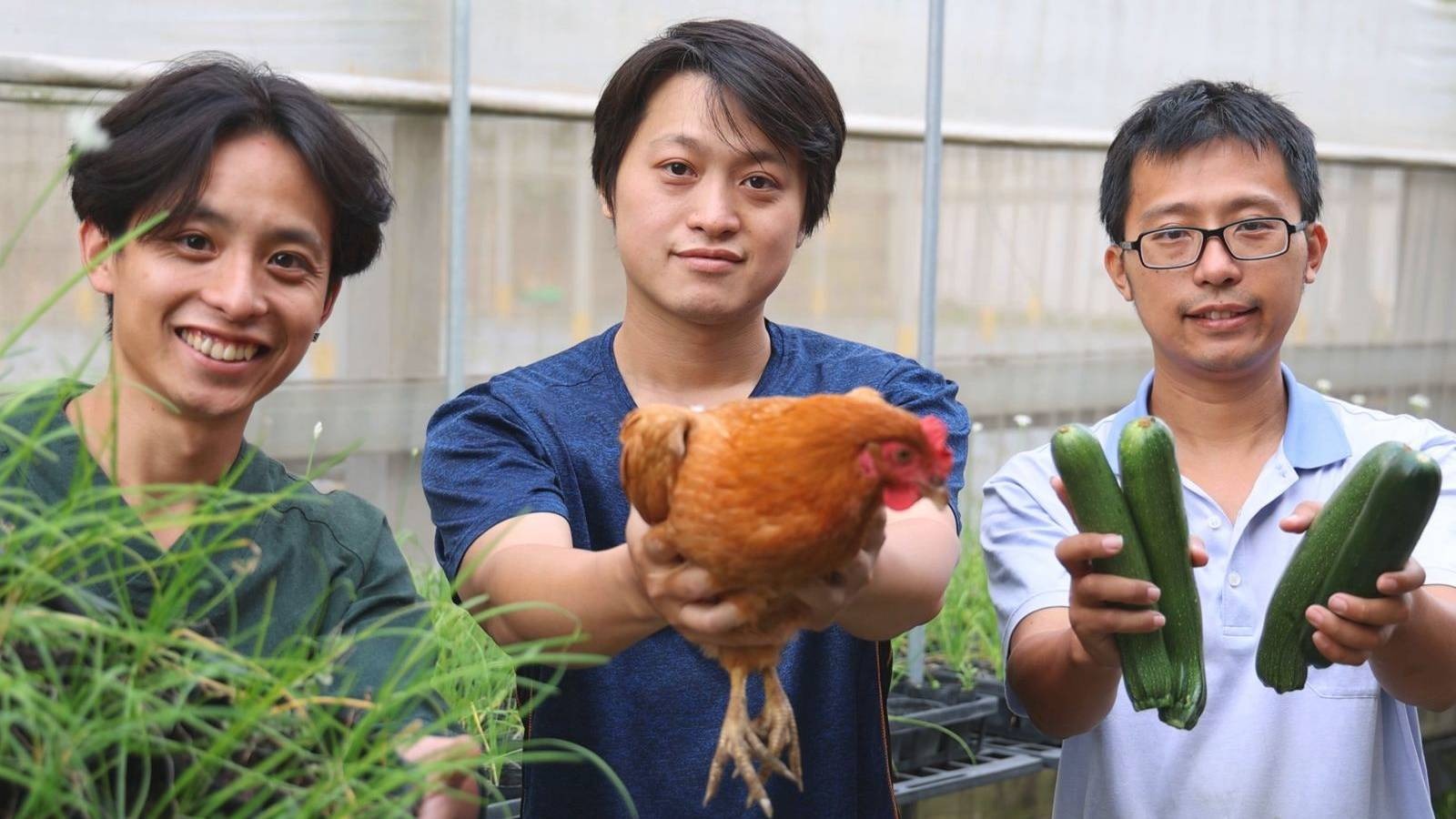 大溪的「香草野園」，由林詹翊、林詹崙、林詹梃三兄弟共同創立。