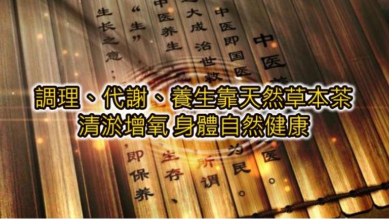 天然防禦調理代謝養生靠烏蔘果草本茶　清淤增氧補氣身體自然健康