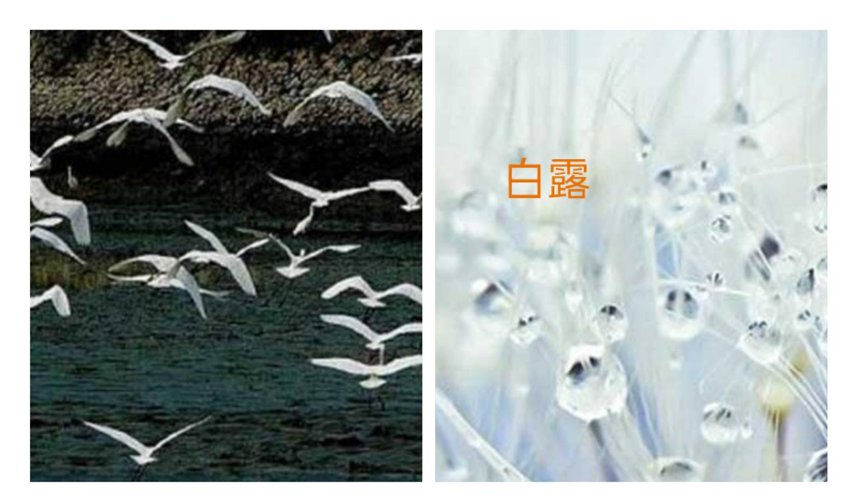 相關圖片