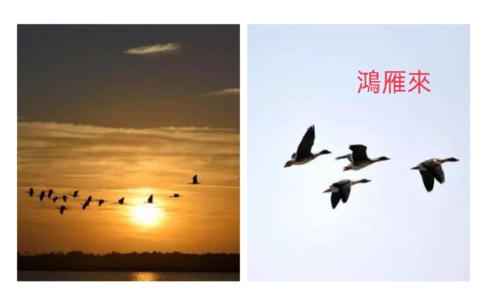 相關圖片