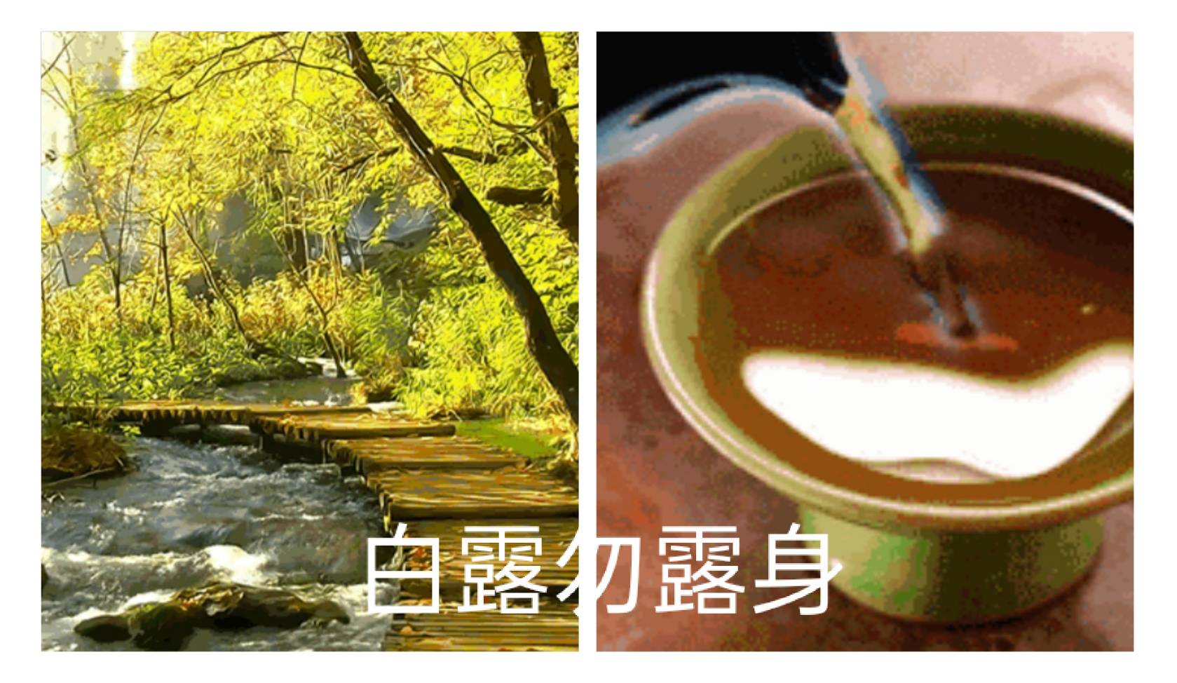 相關圖片