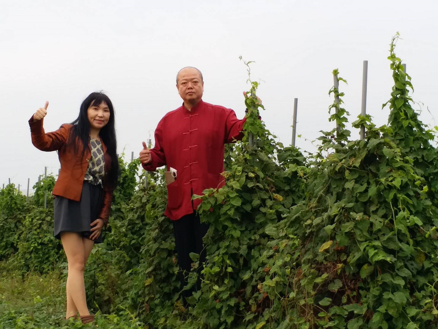相關圖片