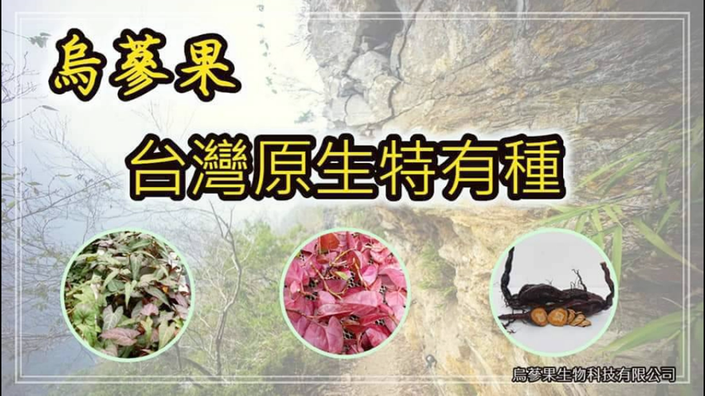 相關圖片