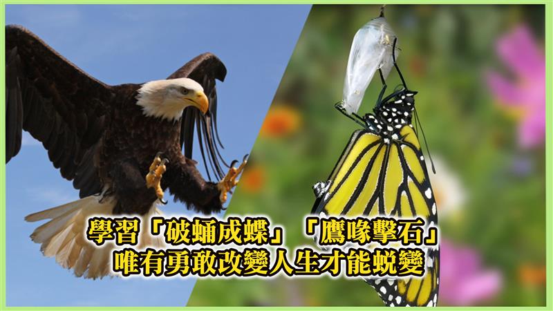 相關圖片