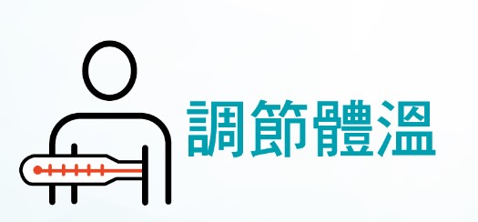 相關圖片