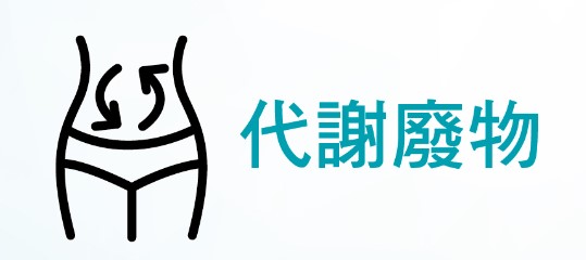 相關圖片