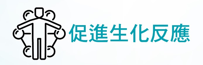 相關圖片