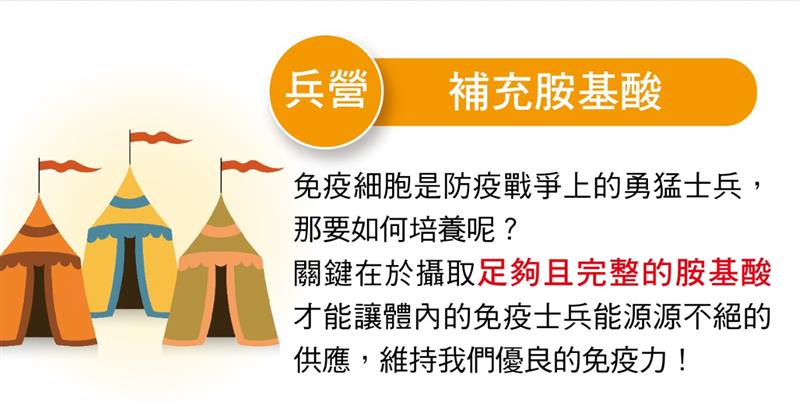 相關圖片