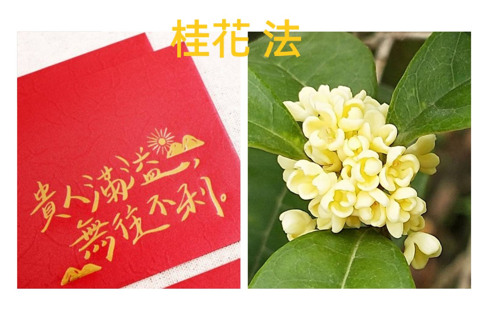 相關圖片