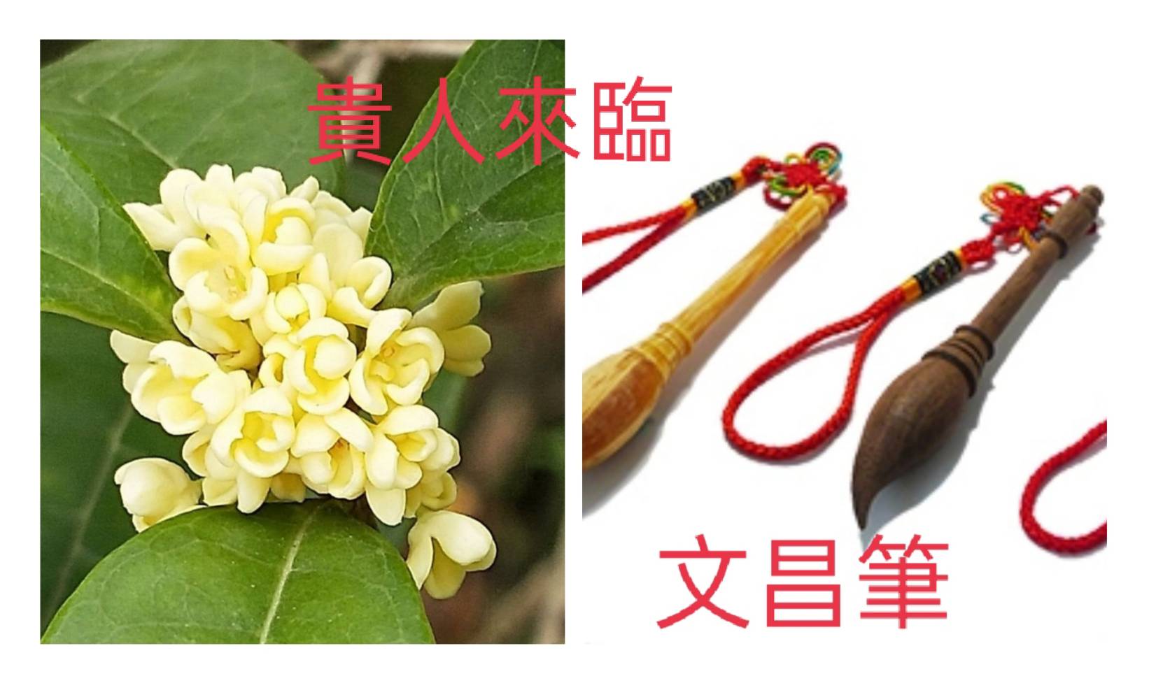 相關圖片