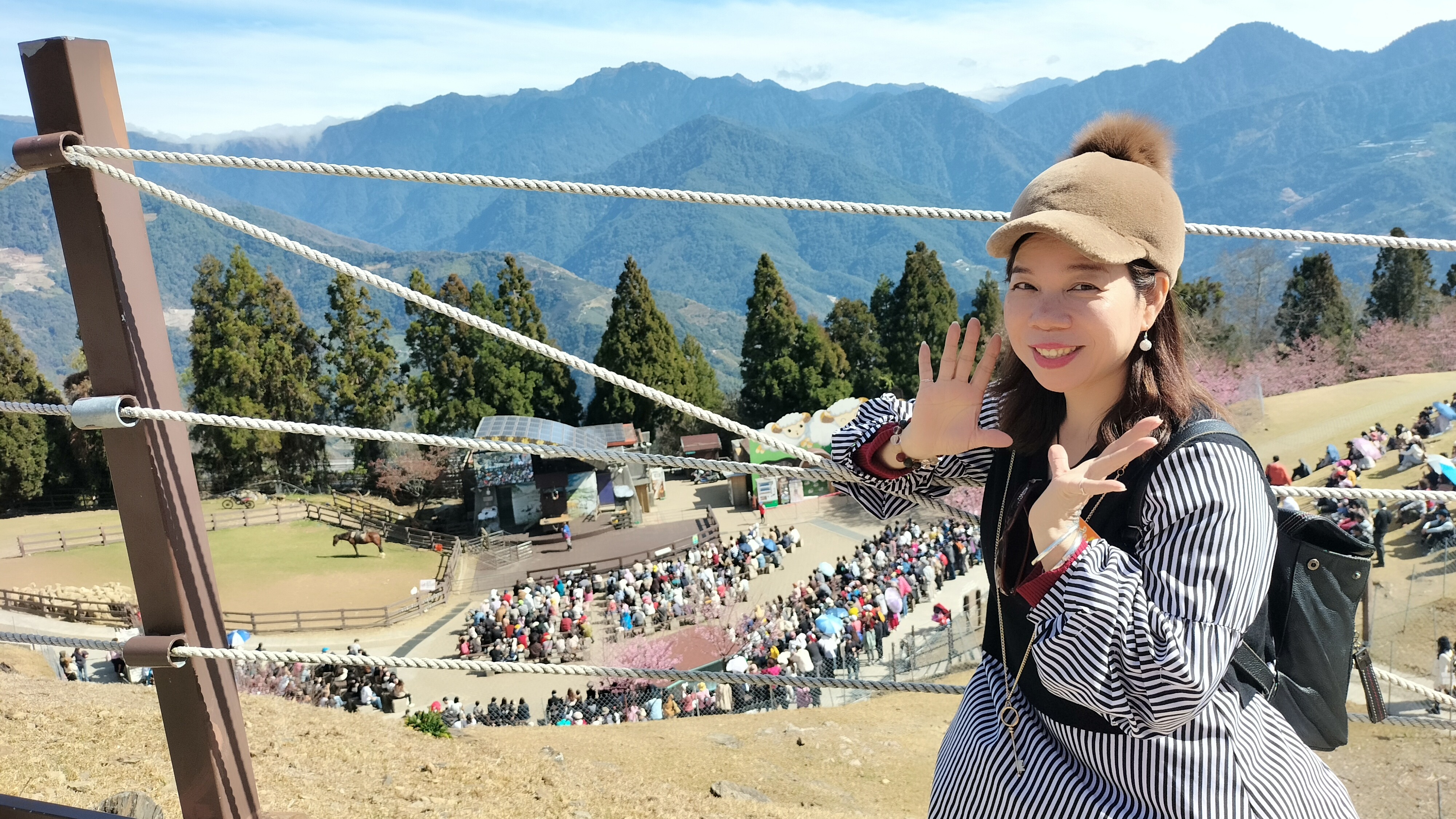 桃園市【龜山體育會】世外桃源福盛山農場、清境農場、九族文化村賞櫻三日遊。